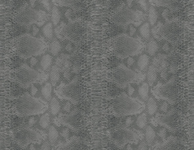 CR85400.jpg