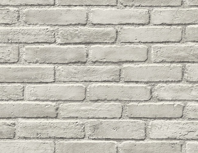 CR86408.jpg