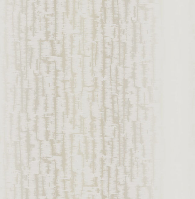 AI42507.jpg
