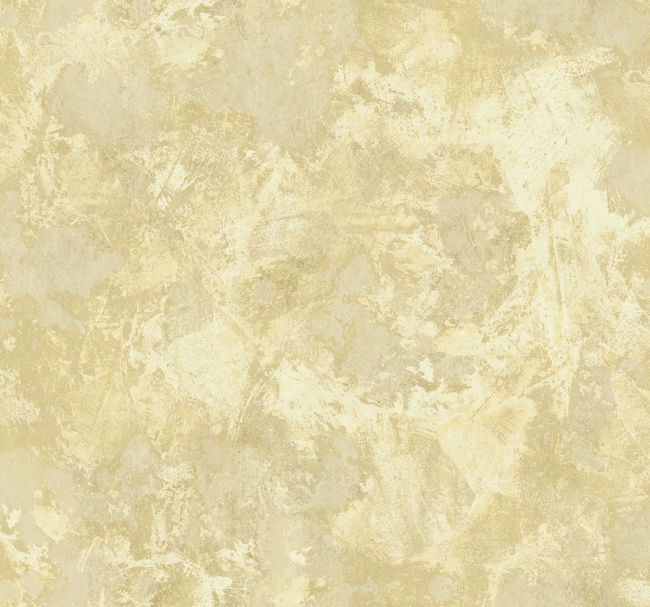 AV51505.jpg