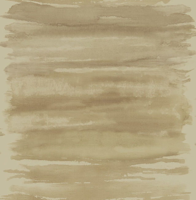 CR61207.jpg