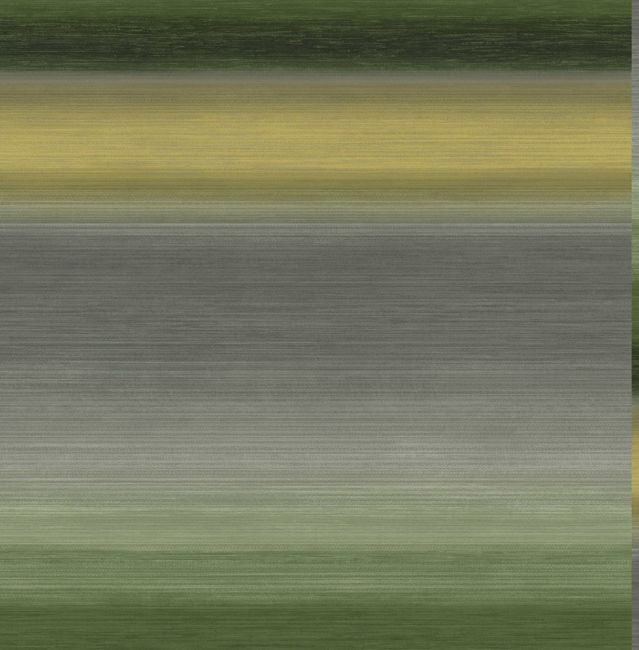 CR61504.jpg
