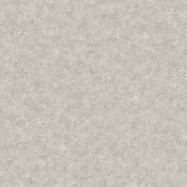 BV30628.jpg