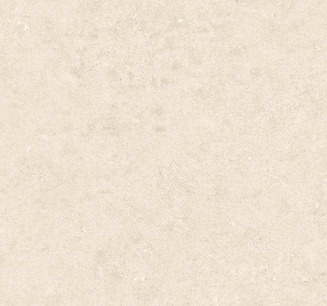 TS81205.jpg