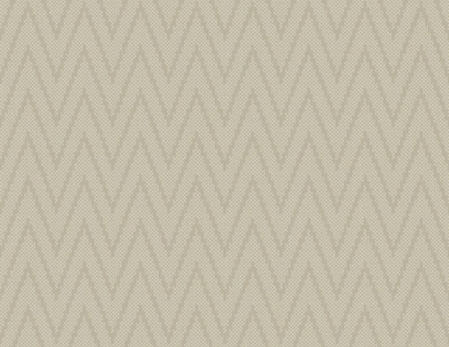 SL11705.jpg