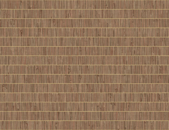 TC75016.jpg