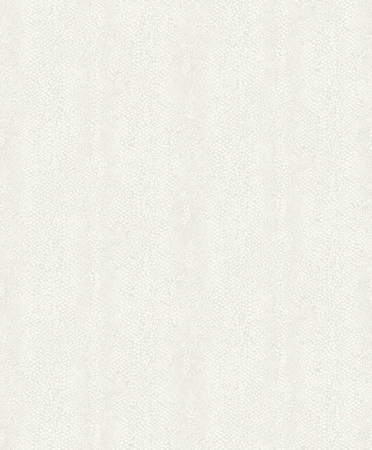 1821912.jpg