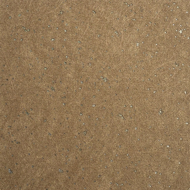 671725.jpg