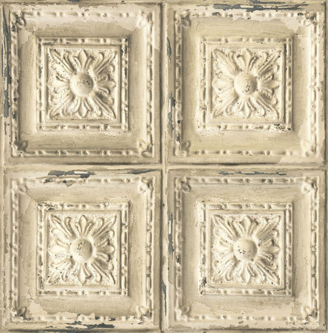 IR50505.jpg