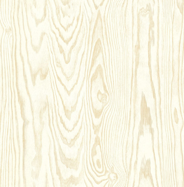 IR51305.jpg