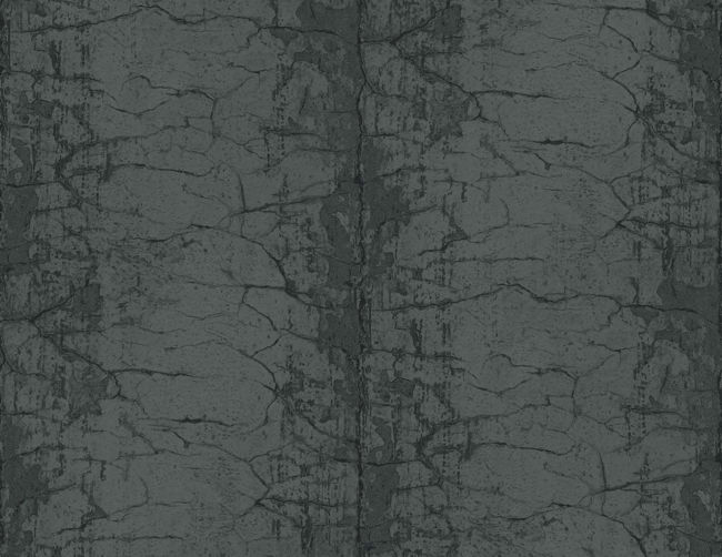 IR70702.jpg