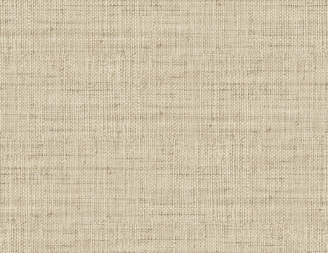 LS61115.jpg