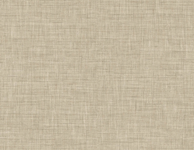 WF40317.jpg