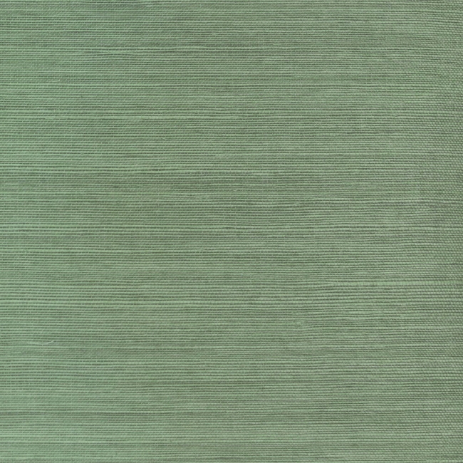 DB46054.jpg