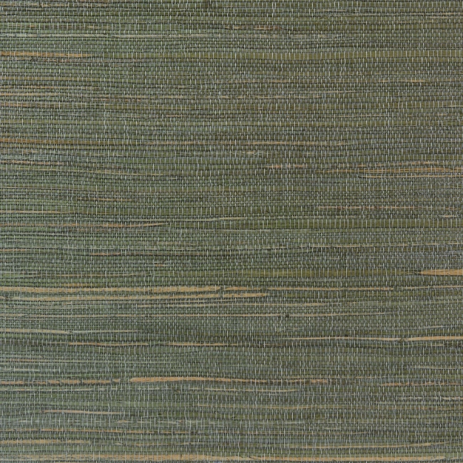 DB46332.jpg