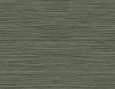 CP97104.jpg