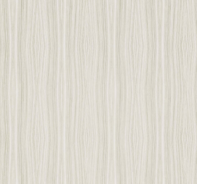 CL80020.jpg