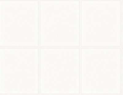 CL80213.jpg
