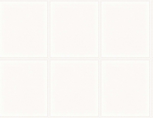 CL80213.jpg