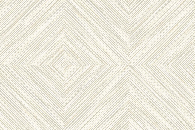 CL81017.jpg