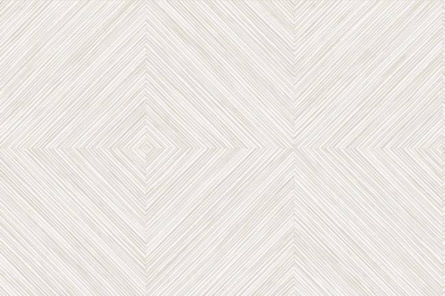 CL81018.jpg