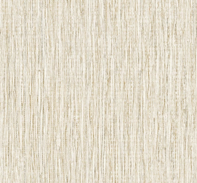 CL81317.jpg