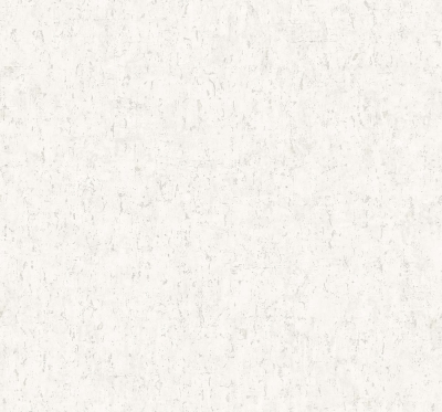 CL82403.jpg