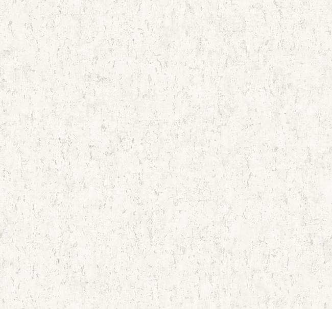 CL82403.jpg