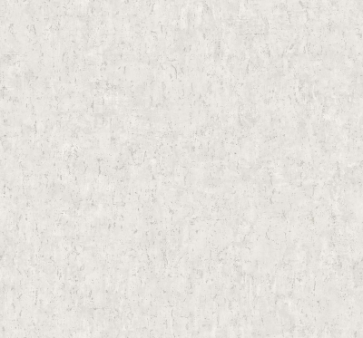 CL82404.jpg