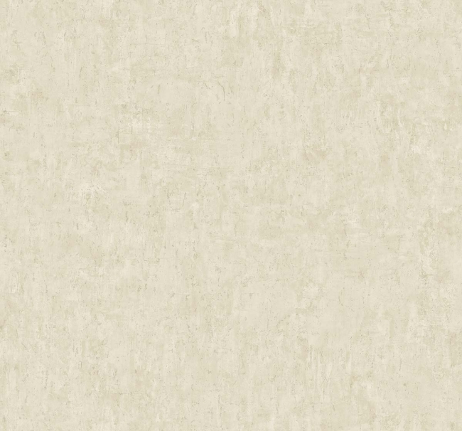 CL82405.jpg