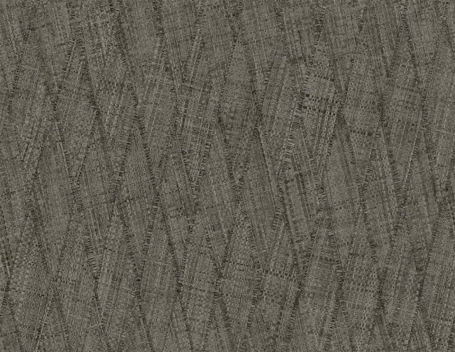 RA41217.jpg