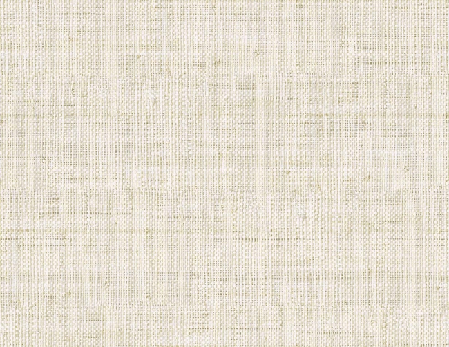 RA45311.jpg