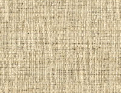 RA45315.jpg