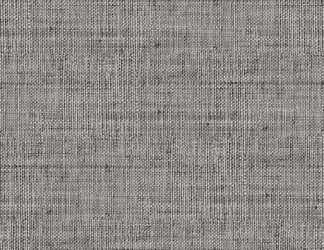 RA45319.jpg