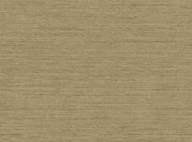 RA45906.jpg